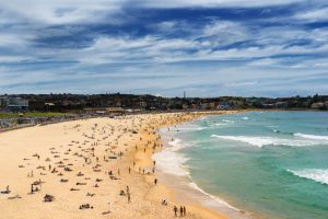 bondi